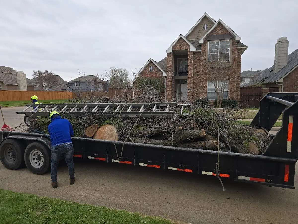 Expert Crown Reduction with proper safety equipment in Axtell